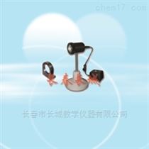 WPB平行白光光源及薄片组件