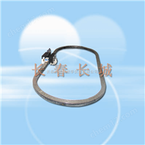 EXD-CFL磁悬浮列车