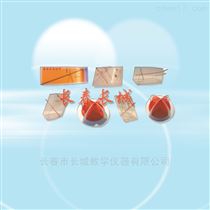 EX-31双折射示教模型